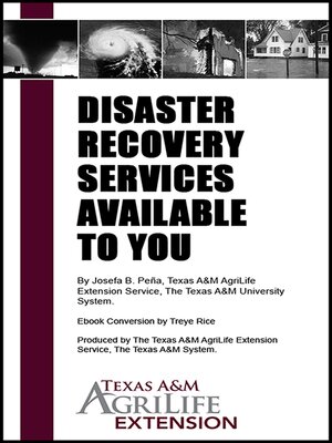 cover image of Disaster Recovery Services Available to You